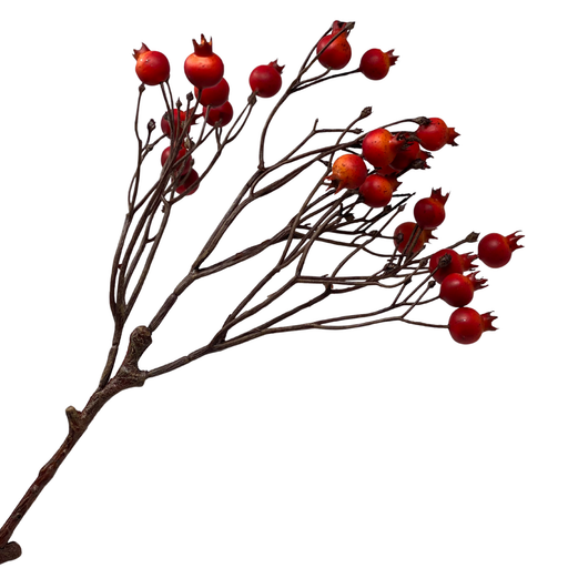 HAGEBUTTEN Kunstzweig orange