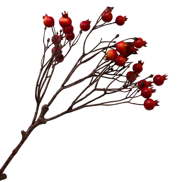 HAGEBUTTEN Kunstzweig orange