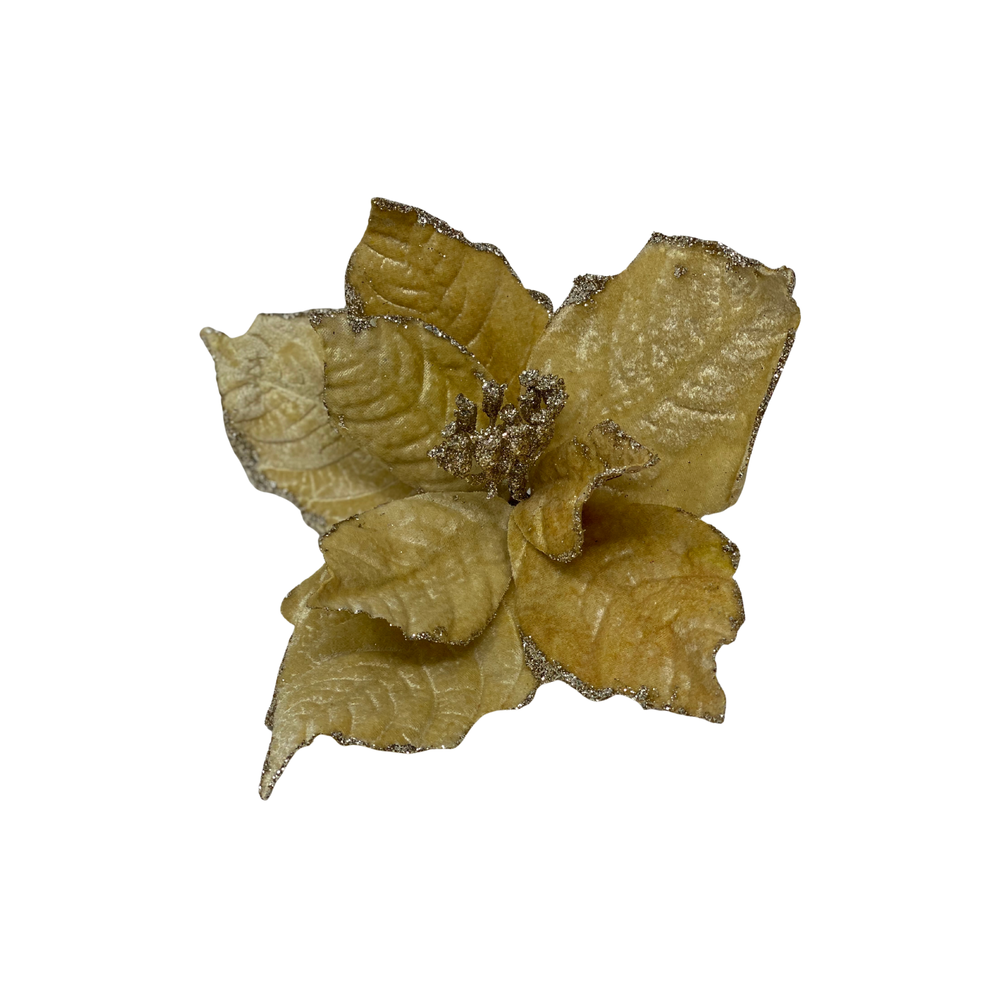 WEIHNACHTSSTERN auf Clip