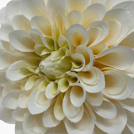 DAHLIE Kunstblume creme