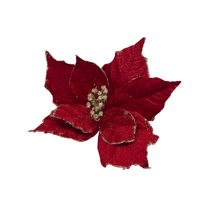 WEIHNACHTSSTERN auf Clip — interio Onlineshop