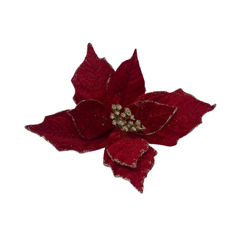 WEIHNACHTSSTERN auf Clip