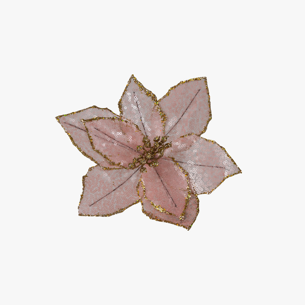 WEIHNACHTSSTERN auf Clip rose