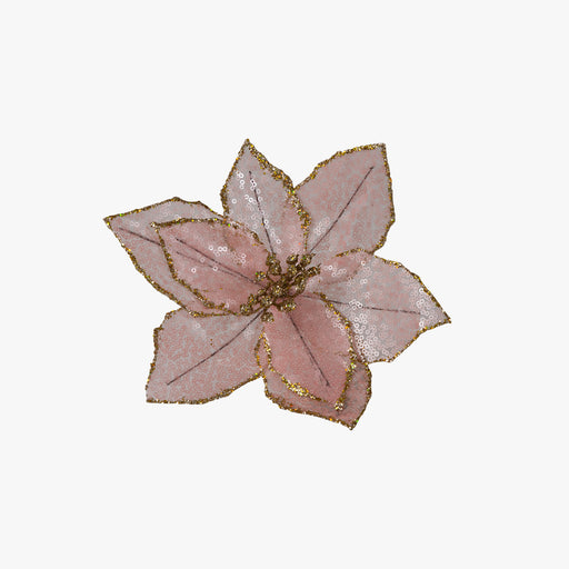 WEIHNACHTSSTERN auf Clip rose